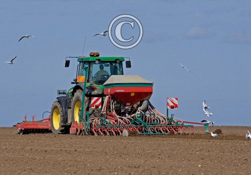 Seed Drilling